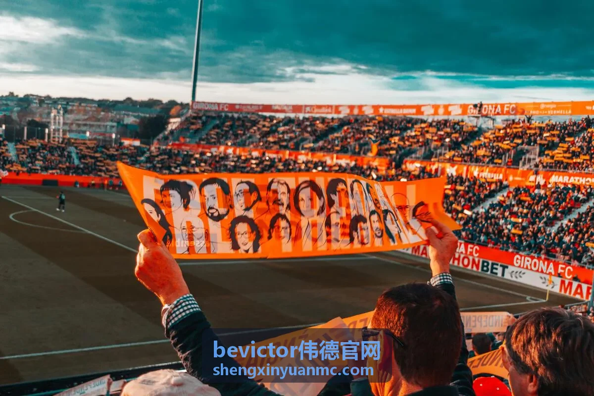 bevictor伟德官网 智能决策案例