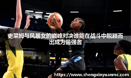 吏菜姆与风暴女的巅峰对决谁能在战斗中脱颖而出成为最强者